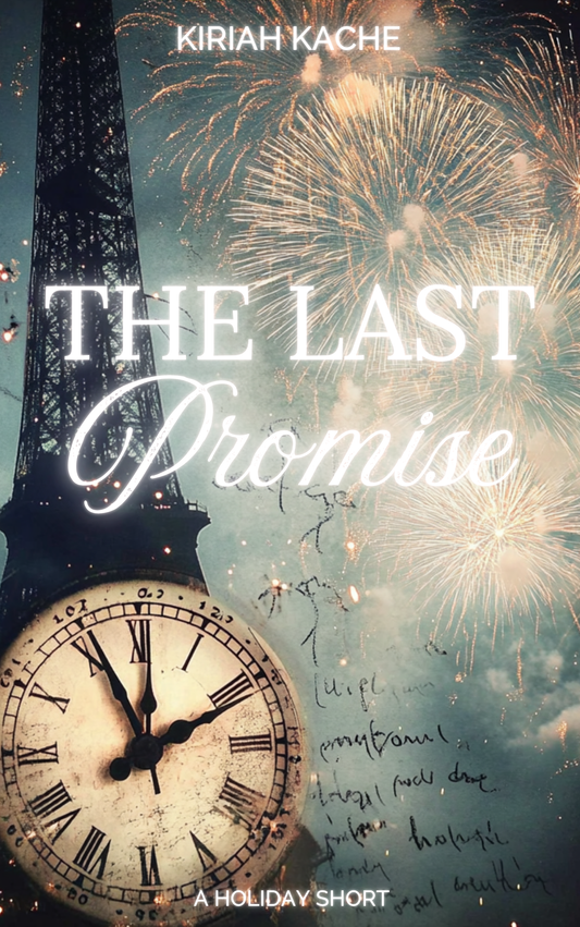 The Last Promise image 0